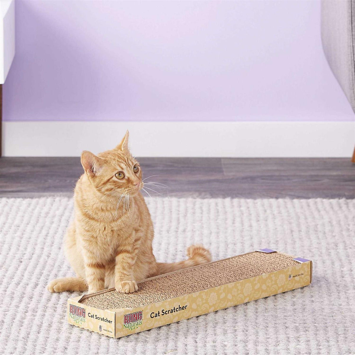 Scratcher Refill E520528