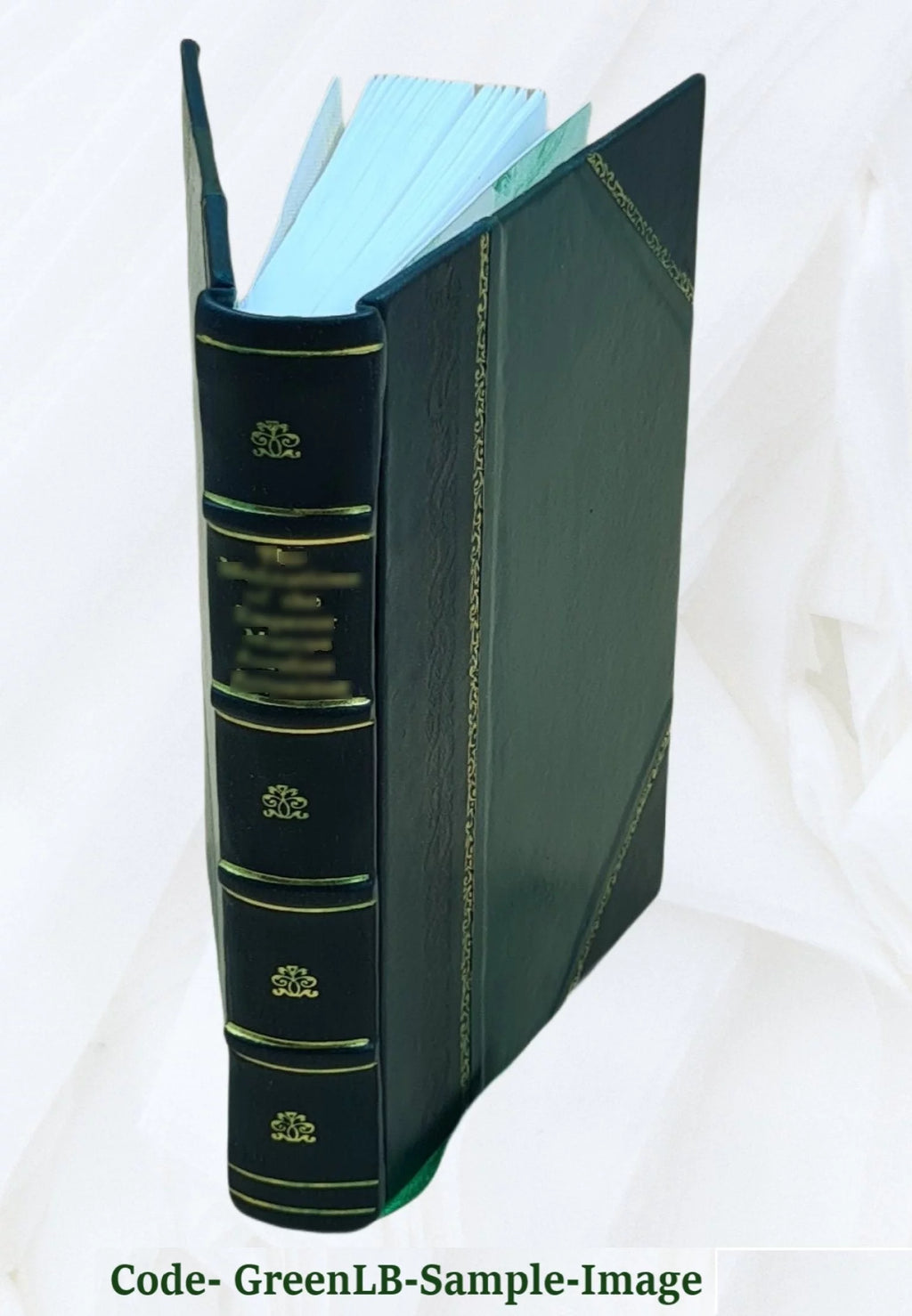 Russian Conversation Leather Bound D11984
