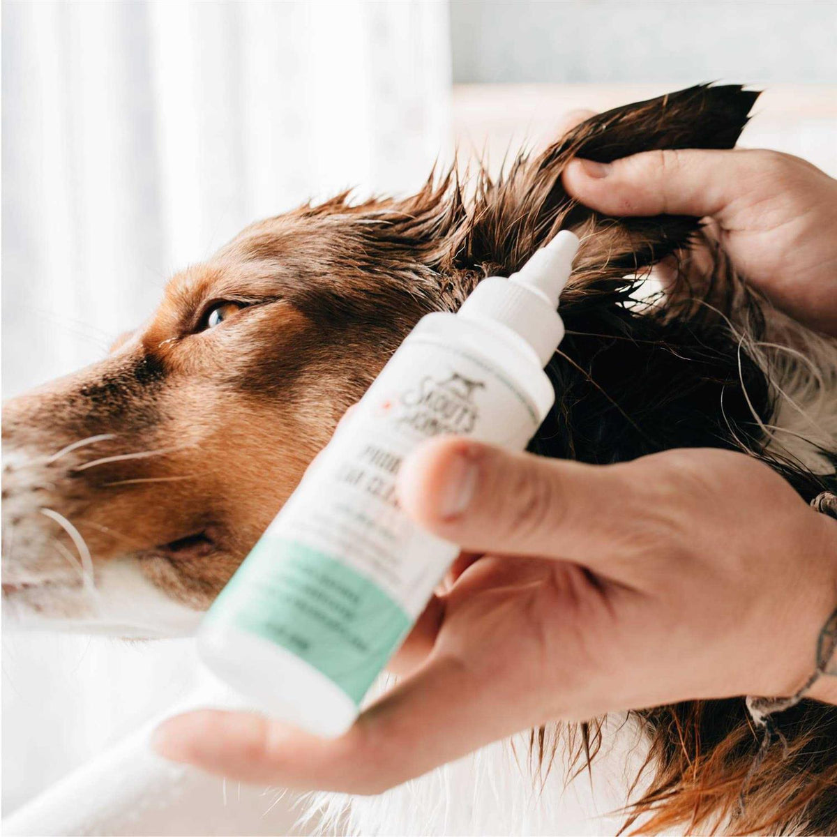 Probiotic Ear Cleaner Q53636