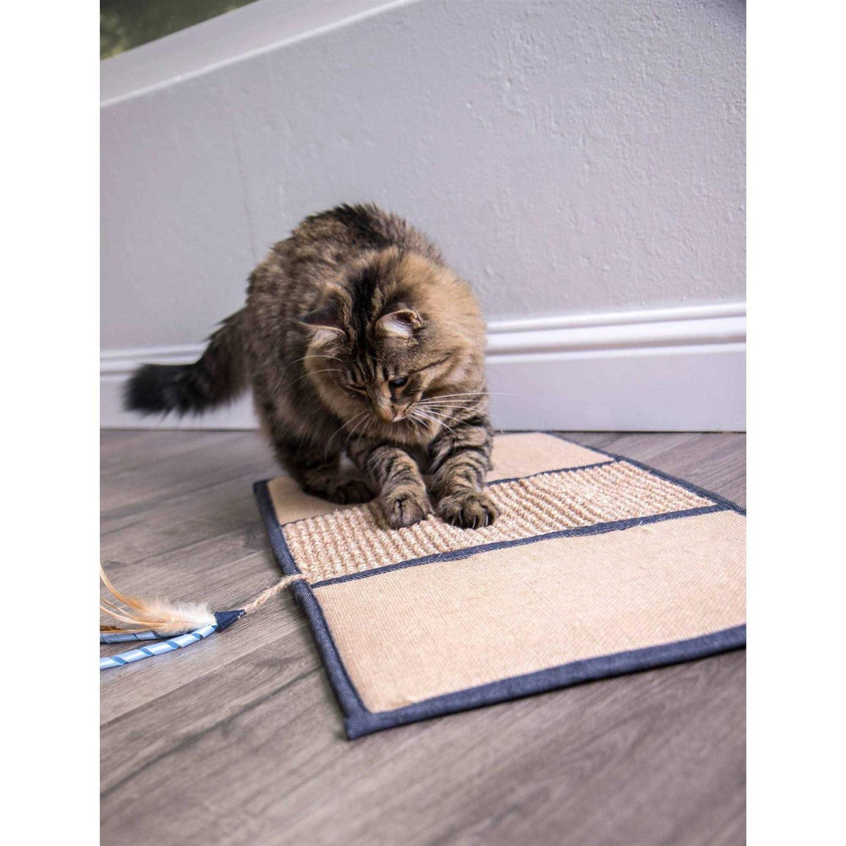 Cat Mat D87842