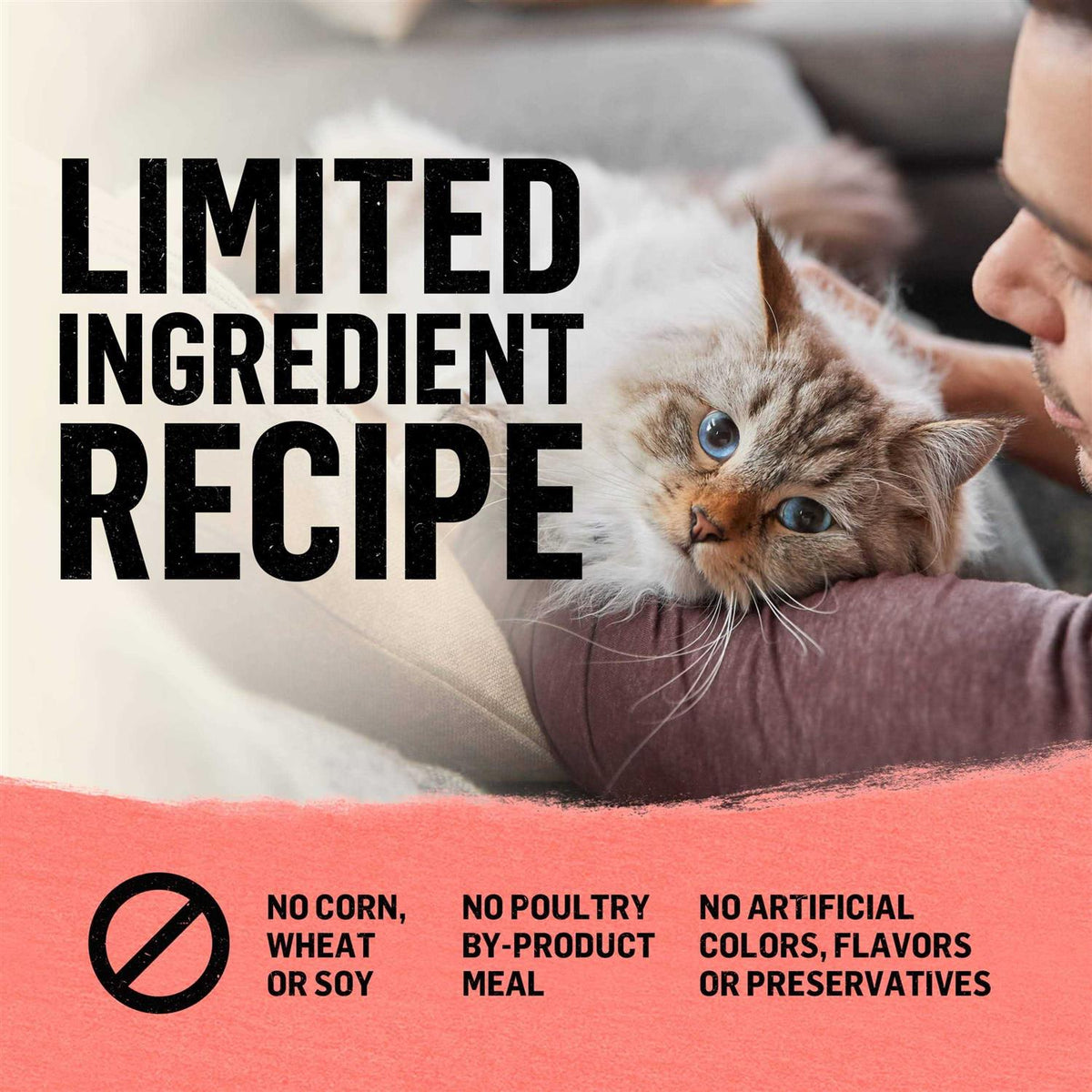 Grain Free Natural Dry Cat Food A667894