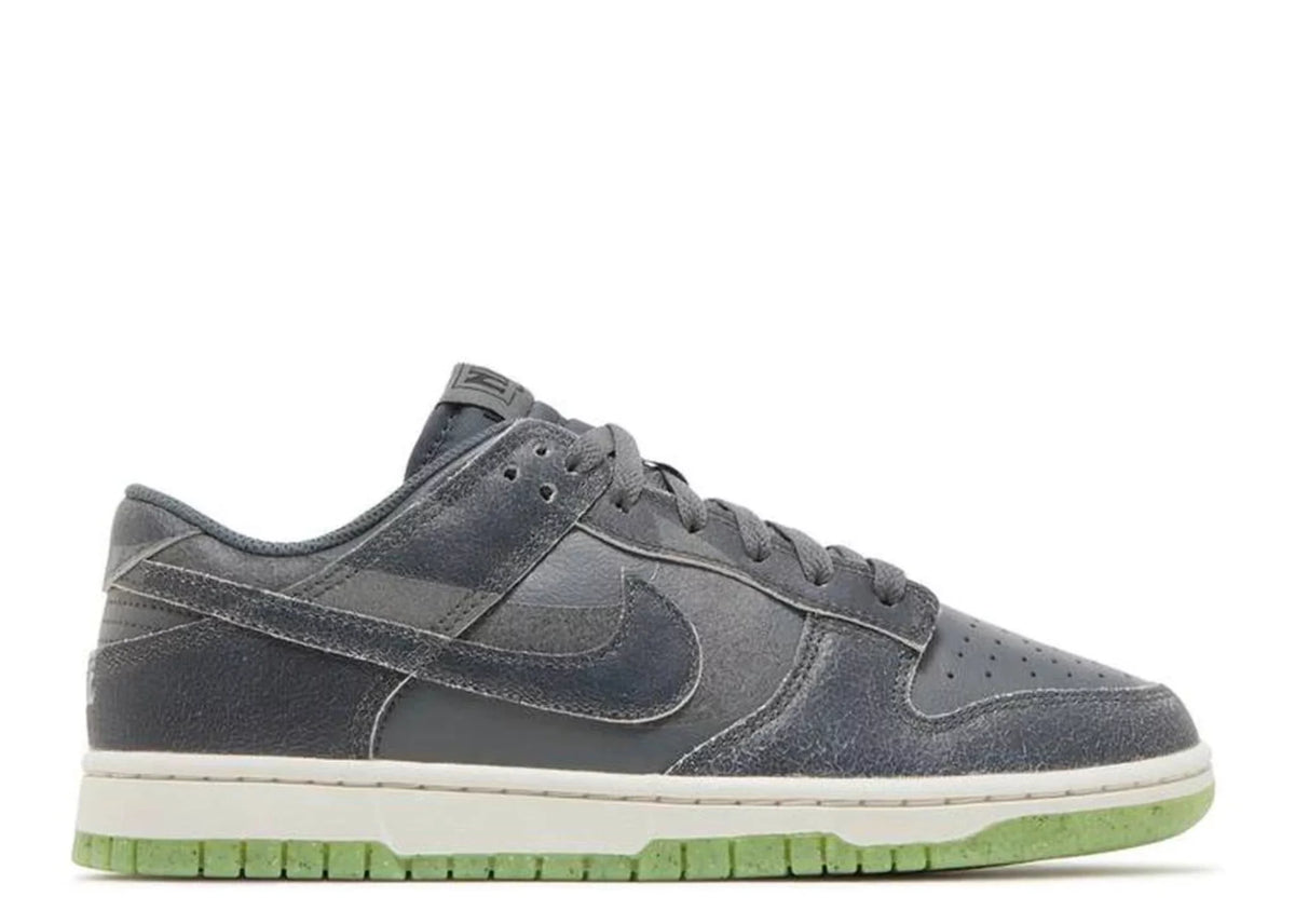 Men's Low Retro Shoes P23508