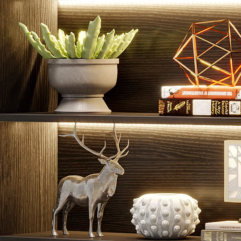 5 Shelf Bookcase with Led Lights R536235