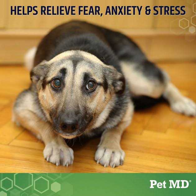 Hemp Calming Supplement Soft Chew for Dogs O5008