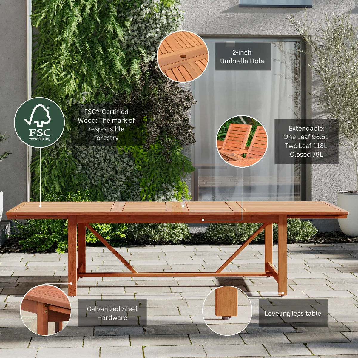 9-Piece Eucalyptus Extendable Rectangular Patio Dining Set N182