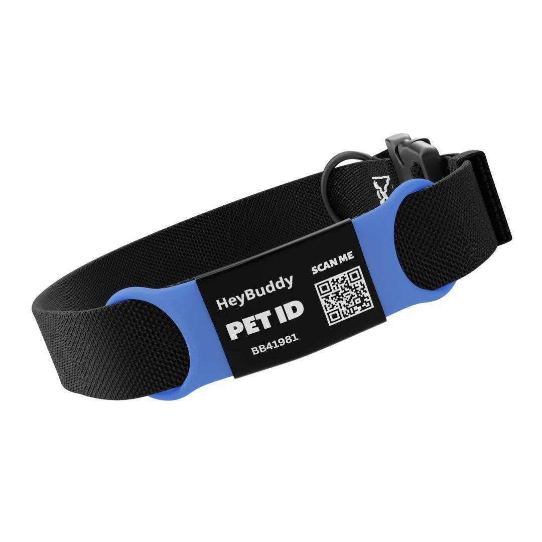 Noiseless QR Code Pet Tag C3911