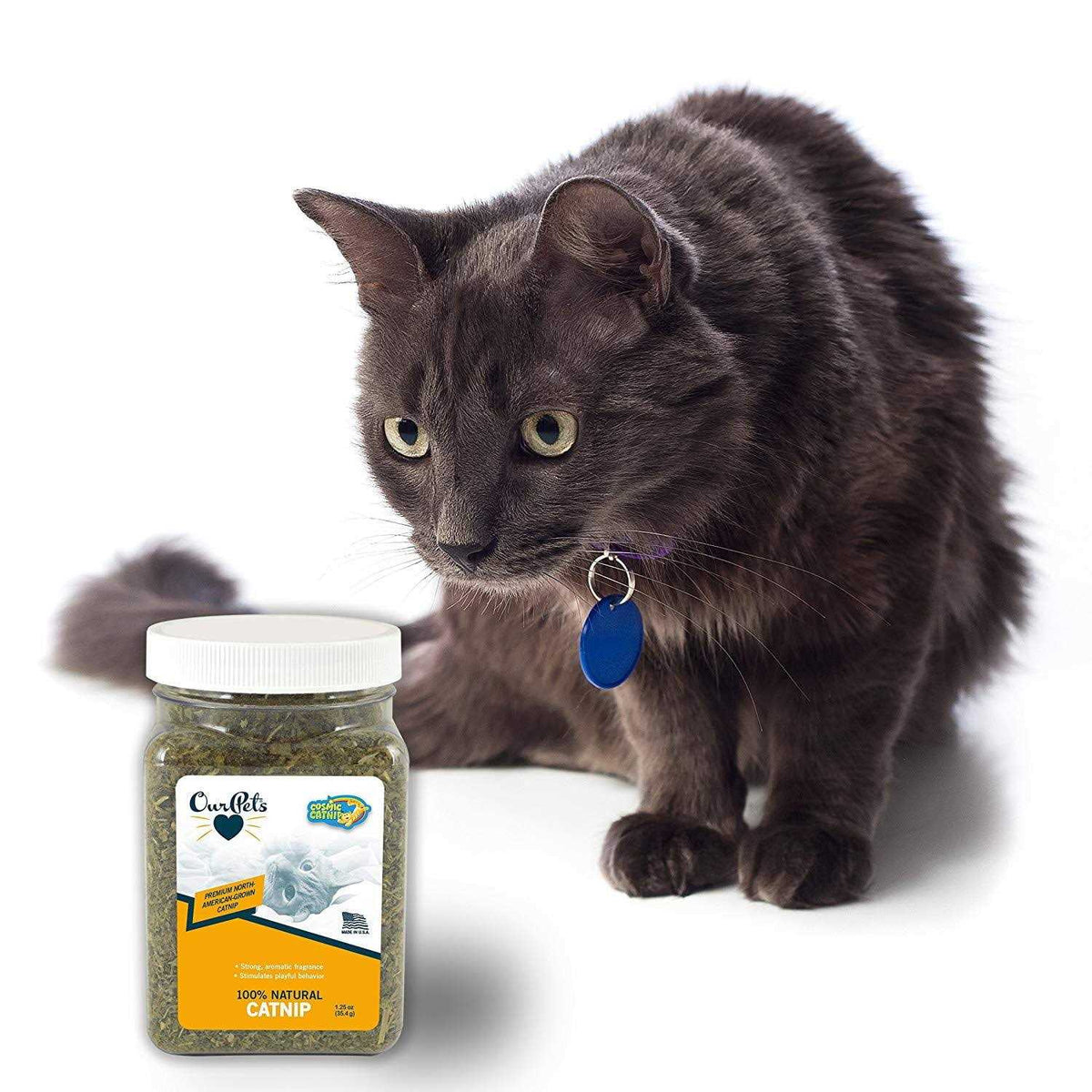 Catnip F5900