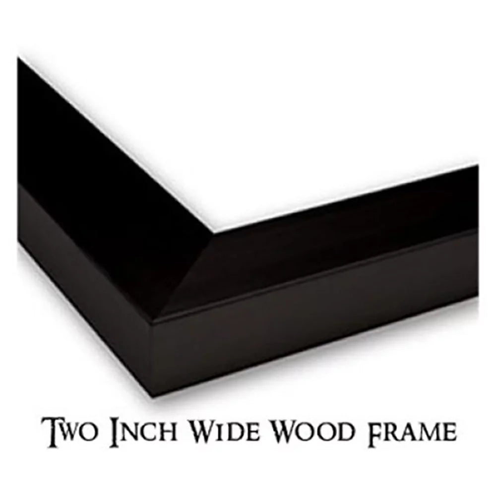 Black Framed Museum Art Print W261685