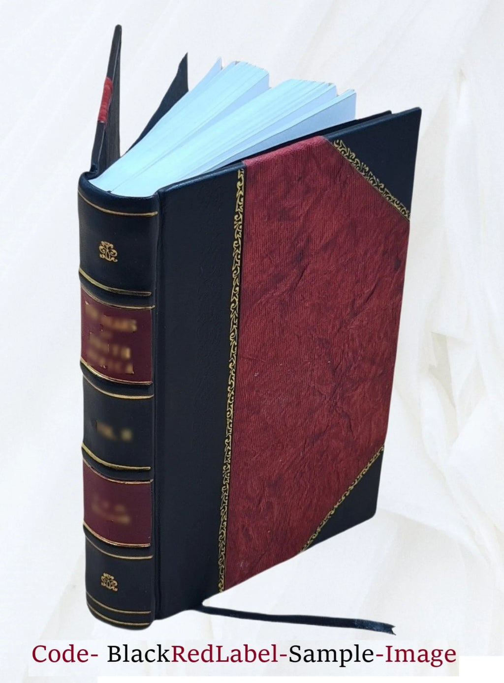 Russian Conversation Leather Bound D11984