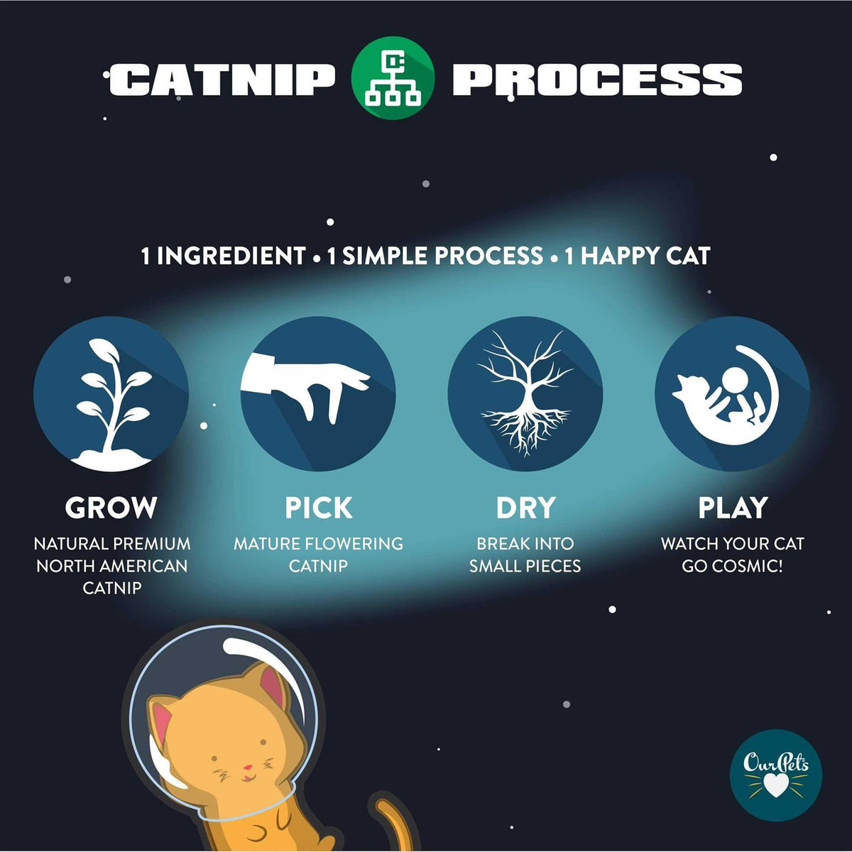 Catnip F5900