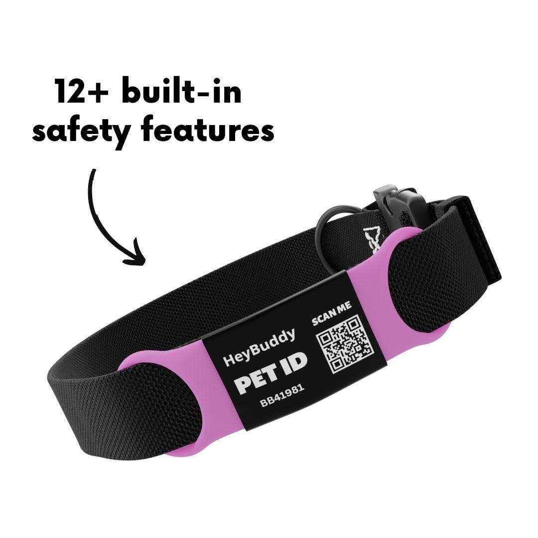 Noiseless QR Code Pet Tag C3911